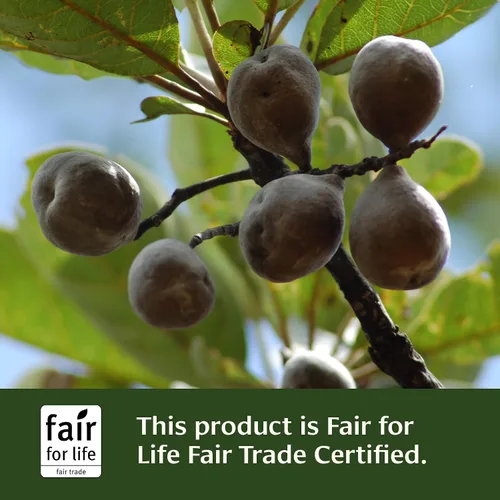Miniatura 4 de Banyan Botanicals Organic Healthy Kapha – Suplemento herbario cálido y vigorizante – Apoya el movimiento sistémico, la energía física