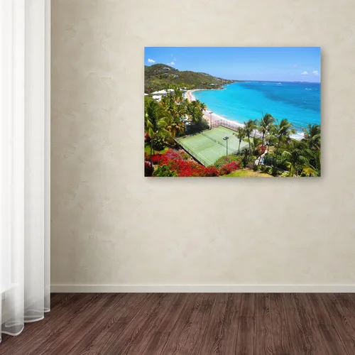 Miniatura 3 de Trademark Fine Art CATeyes - Lienzo decorativo para pared, diseño de Islas Vírgenes, 22 x 32 pulgadas