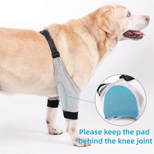 Miniatura 4 de Coderas para perros, coderas y soporte para el hombro, soporte para la pierna delantera del perro para la rehabilitación de lesiones, cirugía