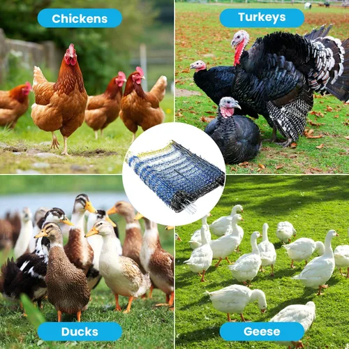 Miniatura 4 de Red eléctrica para aves de corral, 47.2 pulgadas de alto x 164 pies de largo, valla de pollo portátil con postes de fibra de vidrio de doble punta