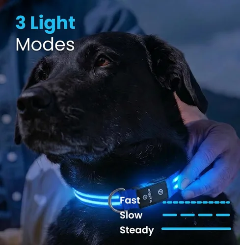 Miniatura 4 de Tractive Collar de perro con luz LED recargable USB impermeable (azul)
