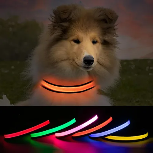 Miniatura 12 de Collares de perro iluminados recargables, collar de perro que brilla en la oscuridad, impermeable, collares de perro con luces LED intermitentes