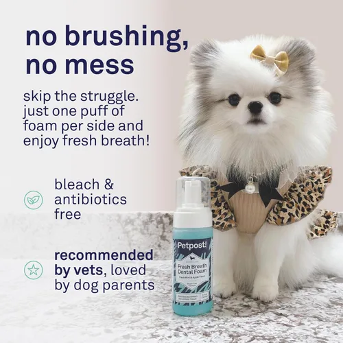 Miniatura 4 de Petpost Fresh Breath Foam for Dogs - Solución dental con sabor a menta y manzana que elimina el mal aliento - Tratamiento de limpieza dental