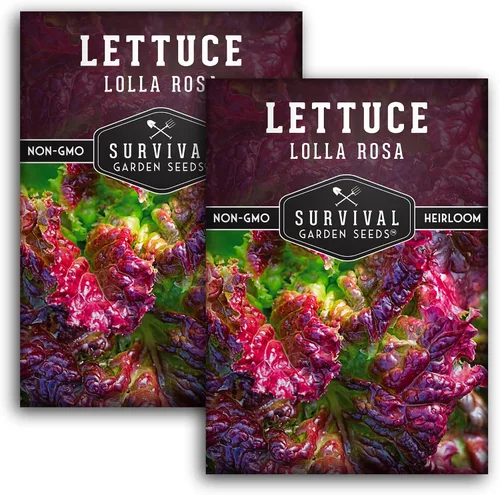 Miniatura 10 de Lolla Rossa Semillas de lechuga para plantar, semillas de lechuga de hoja roja para cultivo de jardín, tolerantes al calor, variedad heredada sin