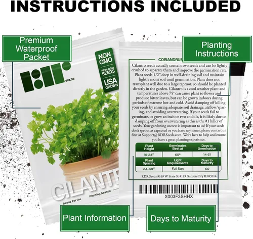 Miniatura 3 de Más de 500 semillas de cilantro para plantar - Semillas de hierbas autóctonas sin OMG cultivadas en EE. UU. en embalaje protector premium - También