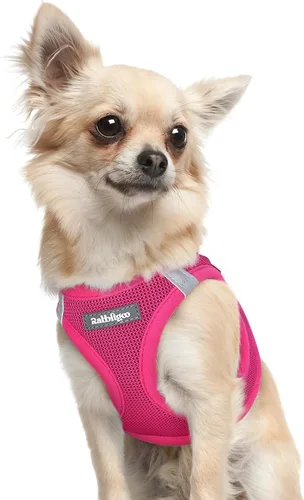 Miniatura 83 de rabbitgoo Arnés para perro pequeño, chaleco de malla suave para cachorros con hebilla de seguridad, arnés reflectante transpirable para mascotas