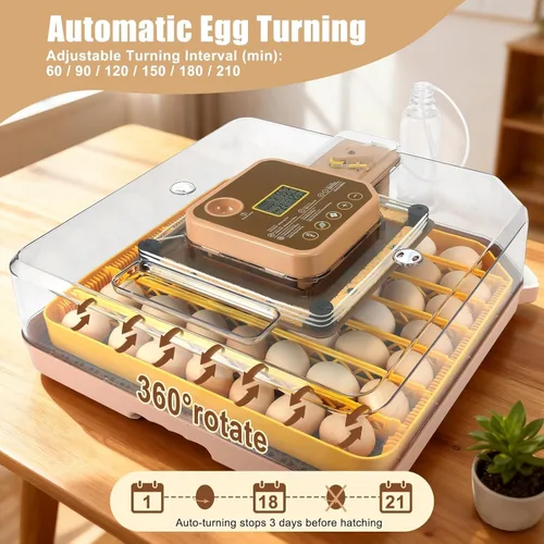 Miniatura 5 de Incubadora de 48 Huevos con Giro Automático y Control de Humedad Incubadora Digital de Aves de Corral para Huevos de Pollo, Pato, Codorniz, Ideal