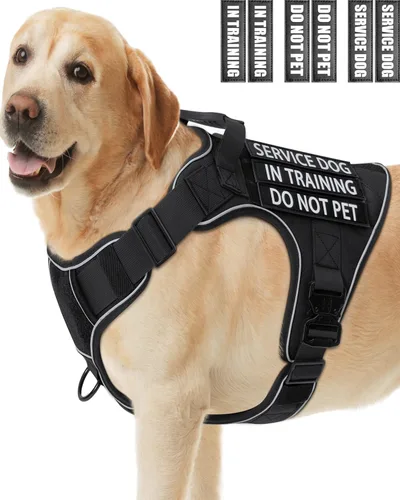 Miniatura 29 de Chaleco de perro de servicio para perros medianos, arnés de perro de servicio en entrenamiento con parches, chaleco ajustable para perros