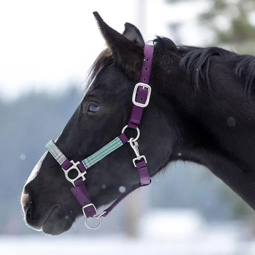 Miniatura 2 de Kensington Premium Nylon Halter Tamaño: XL-Lrg. Color del caballo: 2019 - Imperial Jade 2-2019 - Imperial Jade