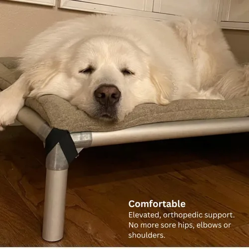 Miniatura 4 de Kuranda Cama elevada para perros a prueba de mordeduras - Aluminio plateado - 30" x 20" - Cordura Nylon - Borgoña