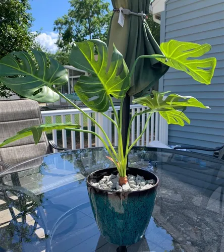 Miniatura 4 de CXGS Hojas de palma de Monstera tropicales artificiales, hojas de tortuga sintética con tallos de plantas de palma falsas de tacto real, hojas Verde