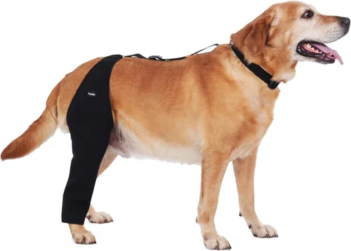 Manga de Recuperación para Pata Trasera de Perro Material Transpirable, Manga para Pata de Perro para Detener Lamido y Mordida Firme y Segura,