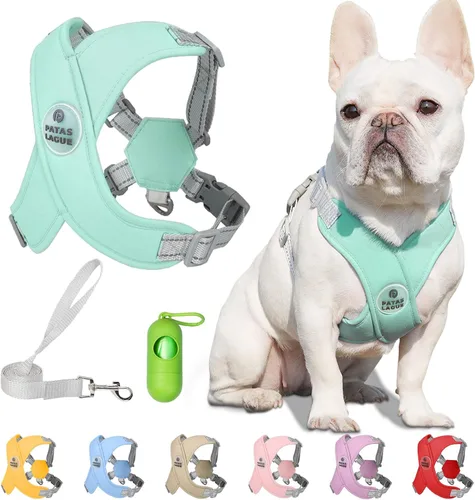 Miniatura 12 de Patas Lague Juego de arnés para perro con correa, ajustable, suave, acolchado, chaleco de entrada para perro, sin estrangulamiento, sin tirones