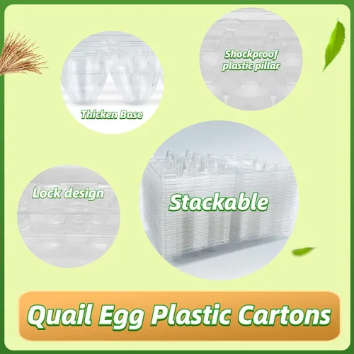 Miniatura 3 de 50 cajas de huevos de codorniz, 12 rejillas de almacenamiento de huevos pequeños, bandejas de cartón a granel para huevos pequeños, codorniz