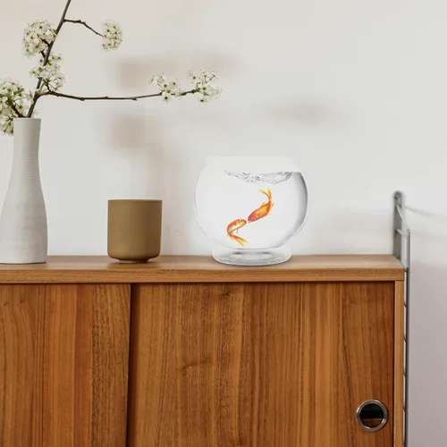 Miniatura 8 de POPETPOP - Cuenco de plástico pequeño para pecera, para escritorio, acuario, cuenco redondo transparente para plantas, hogar, oficina, jardín