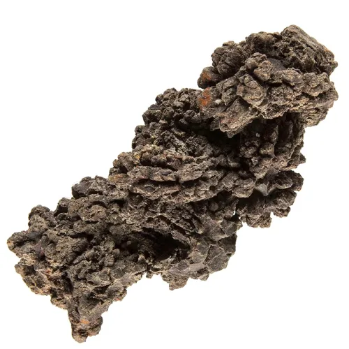 Miniatura 10 de KALIFANO Auténtico fósil de trilobite grande de artrópodo Calymene de Marruecos - Trilobita marina/Calymene para colecciones de fósiles y fines