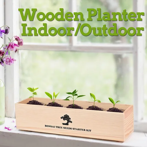 Miniatura 7 de Kit de inicio de jardín bonsái para interiores, 5 semillas que crecen en arce rojo, glicina, pino negro, árbol de judas, acacia, incluye macetas