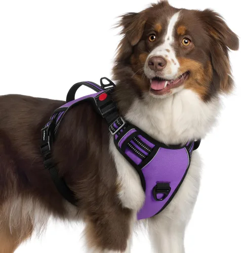 Miniatura 30 de rabbitgoo Arnés para perro de tamaño pequeño, arnés para mascotas sin tirones con mango acolchado suave, chaleco reflectante ajustable con 3