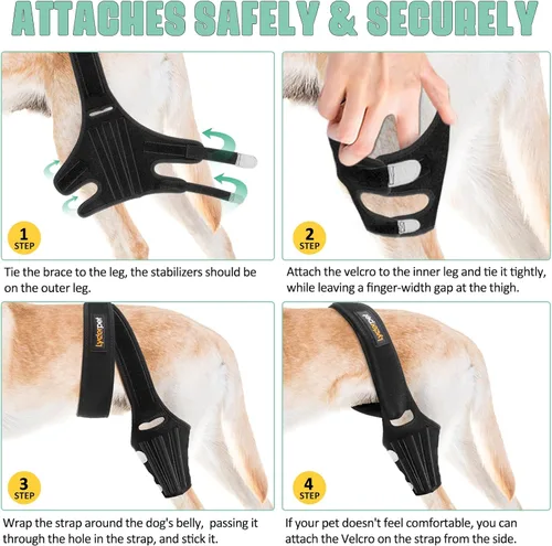 Miniatura 6 de Rodillera para perros para pierna trasera, soporte fuerte que reduce el dolor y la inflamación, mejor recuperación para lesiones de ligamento