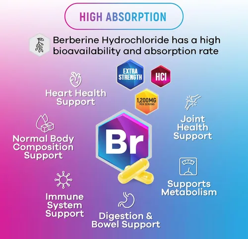 Miniatura 5 de Berberine HCL Blend 1200mg por porción – Alta absorción, suplemento de berberina extra fuerte – Salud avanzada del corazón y apoyo inmunológico
