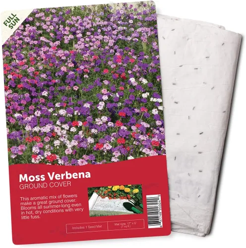 Miniatura 6 de BloomingBulb Alfombrilla para semillas, fácil de plantar y cultivar semillas de jardín, crea un jardín de flores fragantes y vibrantes, macizos