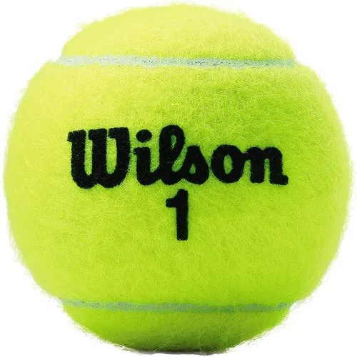 Miniatura 3 de Pelotas de tenis WILSON Championship