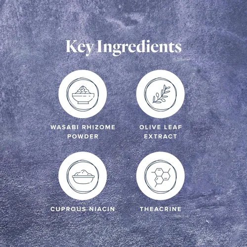 Miniatura 3 de LifeVantage Protandim - Sinergizador NAD, suplemento NAD para energía, estado de ánimo, apoyo saludable al envejecimiento, activación de sirtuina