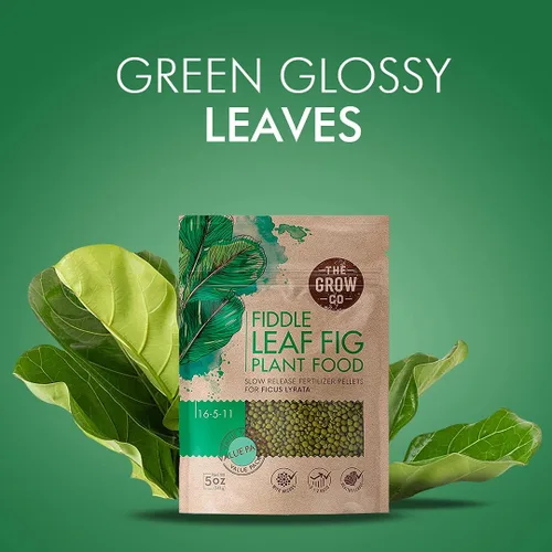 Miniatura 4 de Fiddle Leaf - Alimento para plantas de higuera – Pellets fertilizantes de liberación lenta para higos en maceta, nutrientes constantes para cultivar