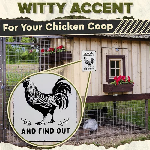 Miniatura 7 de Letrero de gallinero humorístico – 12 x 8 pulgadas, decoración rústica de gallo de hojalata para granero o cocina, letrero de metal de granja