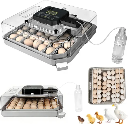 ZEMIRO CHARGE 48 Incubadora de huevos para incubar huevos de gallina, pato, codorniz y loro, con giro automático de huevos y control de humedad con
