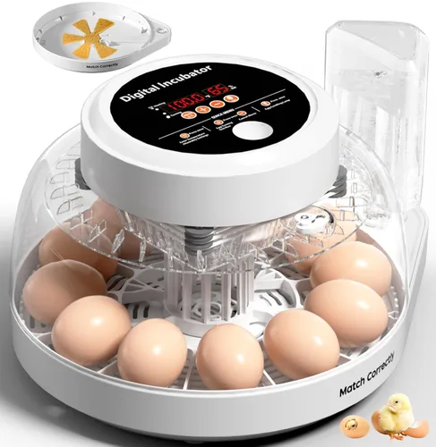 Incubadoras mejoradas para incubar huevos, incubadora de 12 huevos con giro automático de huevos, control de temperatura y pantalla de humedad, vela