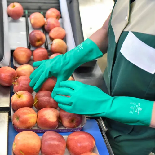 Miniatura 5 de SHOWA 727 - Guantes de seguridad de nitrilo resistentes a los productos químicos, sin forro, apto para alimentos, 15 mil de grosor, 13 pulgadas
