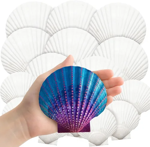 YUJUN 18 conchas de vieira naturales grandes, de 2 a 3 pulgadas, 4 a 5 pulgadas, conchas marinas blancas a granel para manualidades, pintura,
