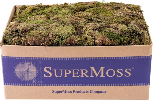 Miniatura 4 de SuperMoss (22168 hojas de musgo mini (triturado) conservado, verde fresco, 10 libras