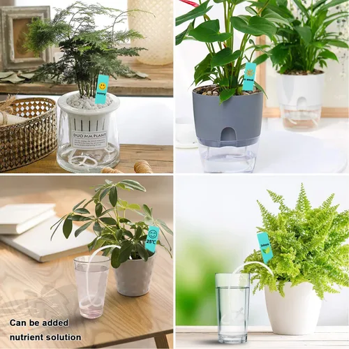 Miniatura 7 de Augshy Cuerda de algodón con mecha de riego automático de 1/6 pulgadas para dispositivo de riego automático de plantas de bricolaje (40 pies)