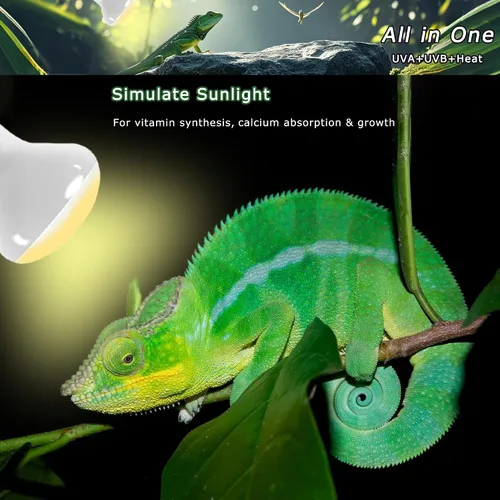 Miniatura 9 de Bombillas UVA de 60 W para lámpara de calor para reptiles, luz de punto de sol para dragón barbudo, lagarto, tortuga, pollitos y anfibios, luz solar
