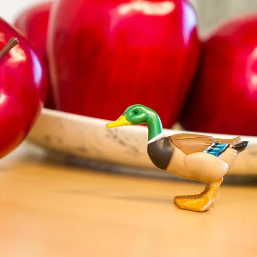 Miniatura 5 de Safari Ltd. Figura de pato real pintada a mano, realista de 3 pulgadas, juguete educativo divertido para niños, niñas y niños a partir de 3 años