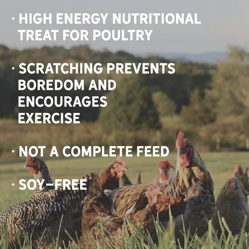 Miniatura 4 de New Country Organics Alimento para pollo Alimento para arañazos para aves de corral adultas Sin soja 9% de proteína Certificado orgánico