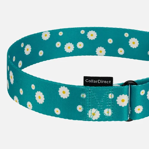 Miniatura 4 de CollarDirect Martingale - Collar de nailon resistente para perros pequeños, medianos y grandes [nailon, estampado, aguamarina, L, 15-20 pulgadas)