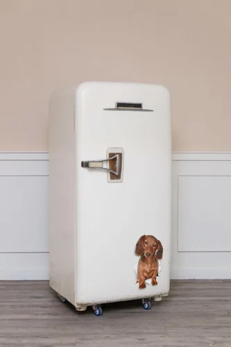 Miniatura 3 de Winston & Bear Calcomanías de pared de perro salchicha lindo – Paquete de 2 – Adhesivo para inodoro de perro salchicha