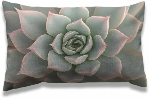 AOYEGO Funda de almohada de cactus de 12 x 20 pulgadas, diseño de flores de cactus, plantas del desierto, botánica, rectangular, fundas de almohada