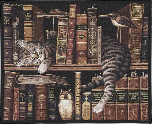 Frederick the Literate por Charles Wysocki | Tapiz tejido para colgar | Fantástico atigrado dormido en estantería – Divertido regalo para amantes de