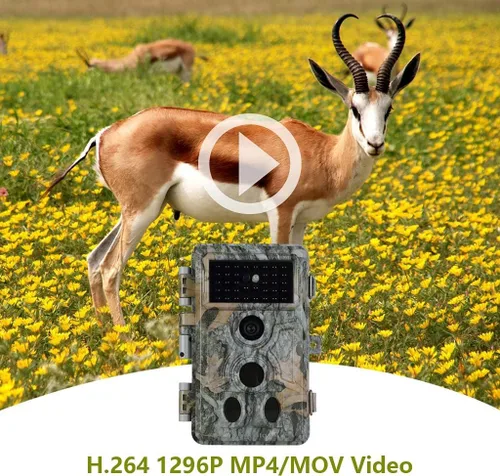 Miniatura 6 de Paquete de 2 cámaras de juegos, Venado Trail Cam sin brillo, visión nocturna de 90 pies, 24 MP, 1296P H.264 MP4 activado por movimiento