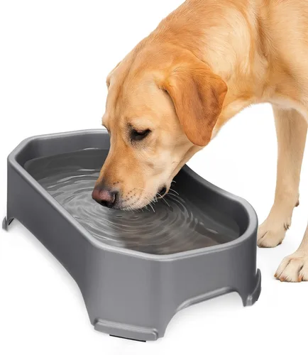 Miniatura 13 de Neater Pet Brands Cuencos para gatos de gran capacidad, cuenco de agua para gatos, reptiles, pollos, aves y animales pequeños, cuenco de comida