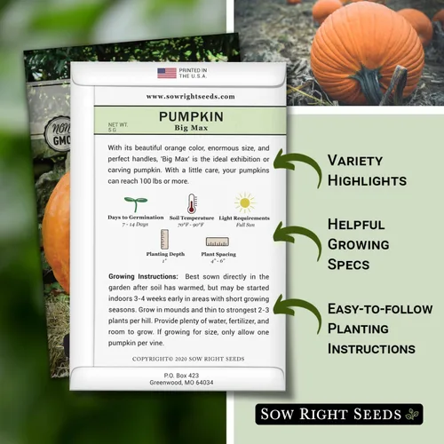 Miniatura 2 de Sow Right Seeds - Semillas de calabaza Big Max para plantar - Paquete de reliquia sin OMG con instrucciones para plantar un huerto casero - Variedad