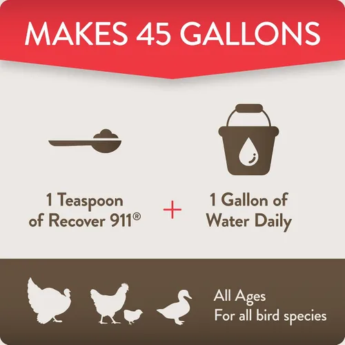 Miniatura 5 de FlockLeader Recover 911, Suplemento de Agua Probiótico para Estrés Severo para Pollos con Electrolitos, Prebióticos y Orégano, para la Muda, Clima