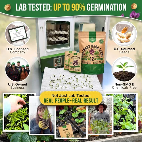 Miniatura 2 de Organo Republic Paquete variado de 12 semillas de hierbas culinarias - 7,355+ semillas criollas, sin transgénicos, para jardinería en interiores