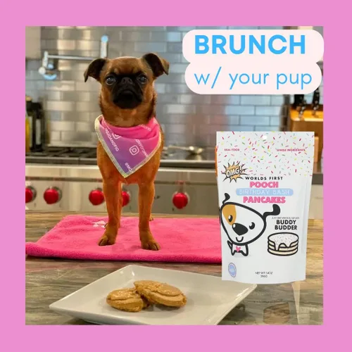 Miniatura 7 de BUDDY BUDDER Panqueques de cumpleaños de Bash Pooch - Regalo divertido, brunch con tu cachorro, o apilarlos para cumpleaños de perro con vela, 100%