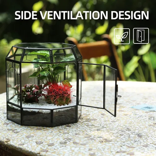 Miniatura 2 de REDHUGO Terrario grande de vidrio hecho a mano, caja de exhibición central, maceta de regalo, contenedores para terrarios de interior, casa
