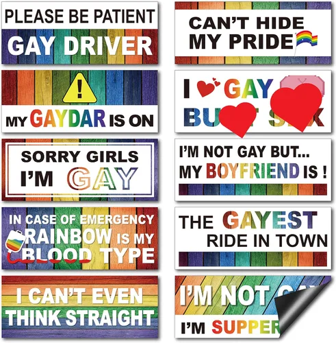 Miniatura 8 de Frienda 10 piezas de calcomanías para parachoques divertidas con pegatinas LGBT arcoíris, pegatinas para parachoques de broma para autos, accesorios